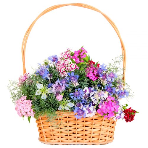 Корзина с цветами «Наслаждение»